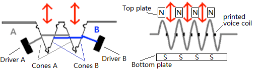 DDQ compares with AMT