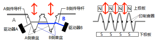 DDQ对比AMT